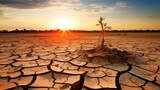 Arid landscape with parched cracked earth