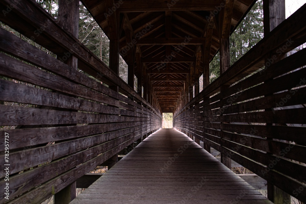 Fototapeta premium Beautiful view of a light shadow in the wooden bridge in the forest