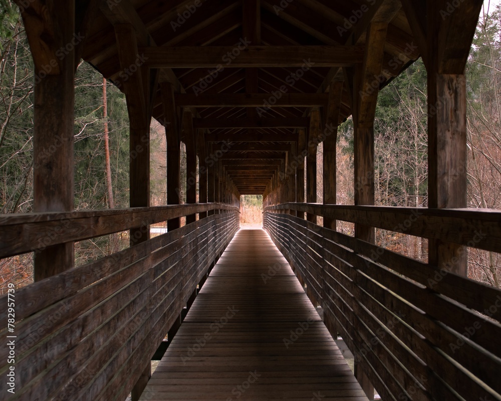 Beautiful view of a light shadow in the wooden bridge in the forest Beautiful view of a light shadow in the wooden bridge in the forest