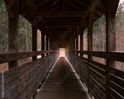 Beautiful view of a light shadow in the wooden bridge in the forest