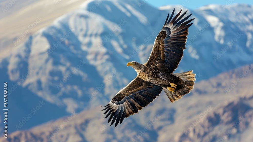 Obraz premium Majestic Eagle Soars High Above Towering Mountain Peaks Against Stunning Azure Sky