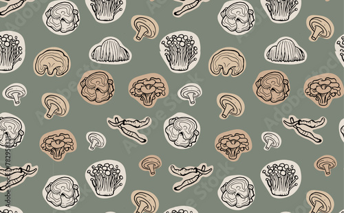 Seamless pattern of hand drawn medicinal mushrooms on green background. Chaga, reishi, shitaki, cordyceps, turkey tail and lions mane mushroom illustration.