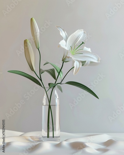Still life with lily flower in vase