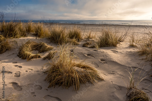 Fototapeta Naklejka Na Ścianę i Meble -  Baltic Coast