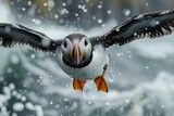 A majestic puffin soars above icy waters, its striking orange beak contrasting against the blue