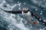 In the wild beauty of the sea, a colorful puffin takes flight against a stunning blue background