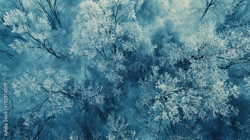 A stunning aerial view of a snowy forest. Perfect for winter landscapes