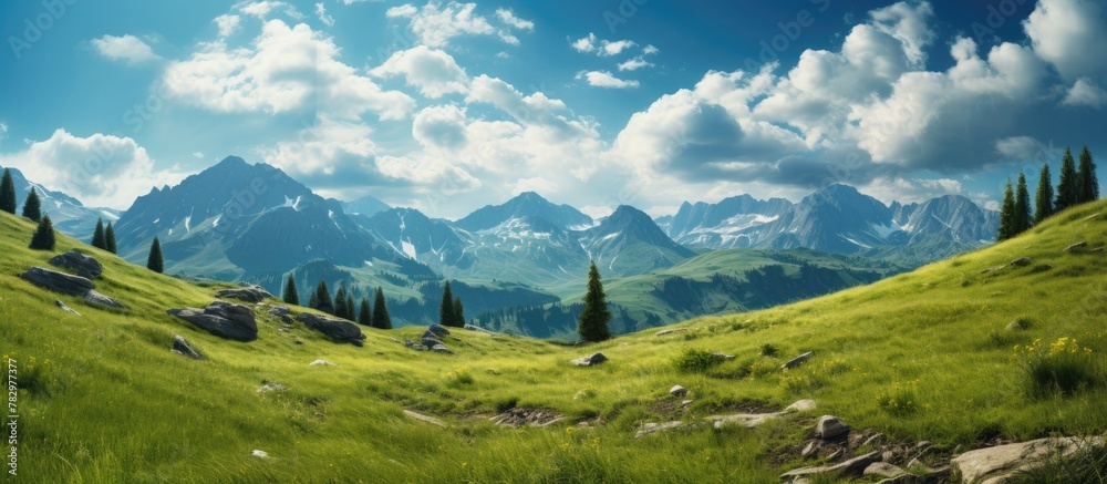 Grassy mountain valley view with sparse trees