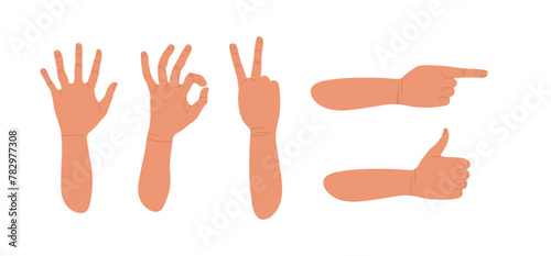 Gesturing. Set of hands in different gestures. Various hand signs. Human hands show signs. Vector flat illustration of hands in various situations isolated on white