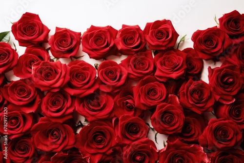 A beautiful background of vibrant red roses  perfect for Valentine s Day or romantic themes. Vibrant Red Roses Background for Valentine s Day