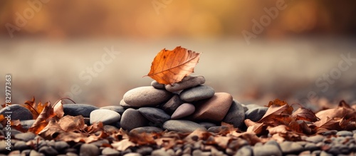 Pile of rocks topped with a leaf photo