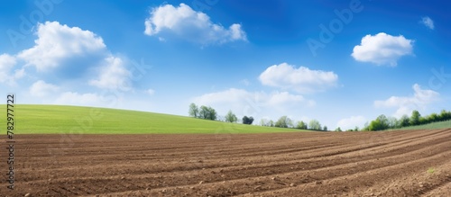 Plowed field with Blue Sky ...