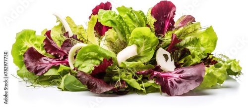Fresh lettuce close-up on w...