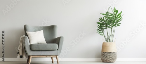 Green armchair and plant in room