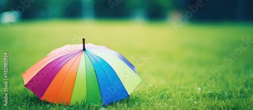 Colorful umbrella amidst green field