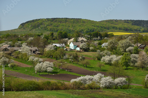 Spring rural landscape. Spring in the Ukrainian village