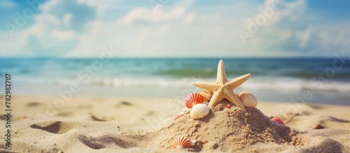 Seashells and starfish scat...