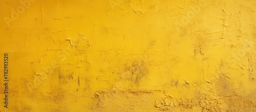 Black and white feline on yellow wall photo