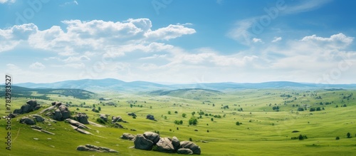 Grassy field with distant rocks and trees photo