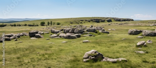 Mountain Landscape with Gra...