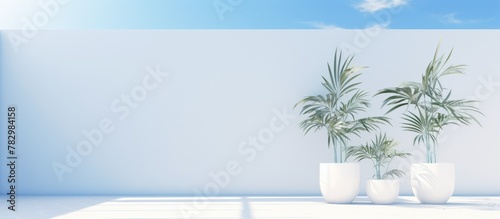 Two plant pots against whit...