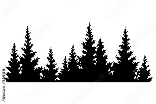 Fir trees silhouette. Coniferous spruce horizontal background pattern  black evergreen woods  illustration. Beautiful hand drawn panorama of coniferous forest