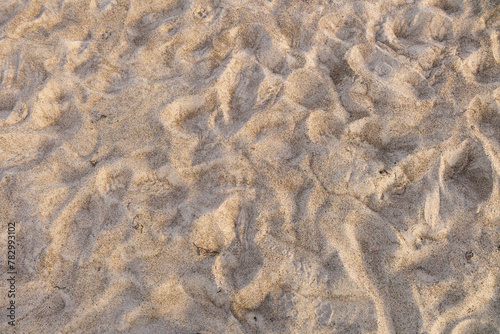 Sand on the beach of the Baltic Sea in Warnemünde in Mecklenburg-Western Pomerania in Germany