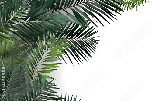Frame with tropical palm leaves and jungle plants isolated on white background