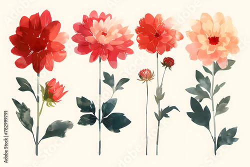 Colorful flowers hand drawn collection isolated on white background