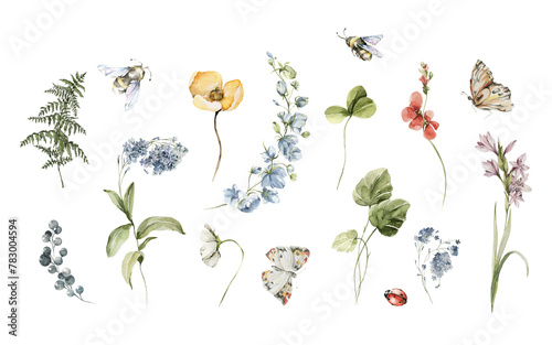 Watercolor floral bouquet of greenery, wildflowers, meadow herbs, strawberry. Green leaves, field flower, butterfly isolated on white background. Botanical set for design, print or background
