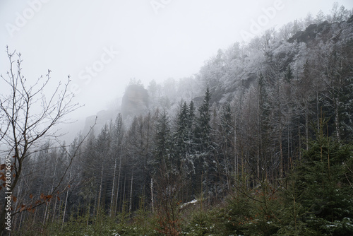View of the Großer Zschirnstein with snow-covered trees and in the fog, on the summit photo