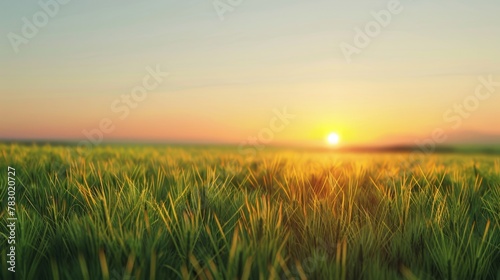 A Sunrise over Green Field
