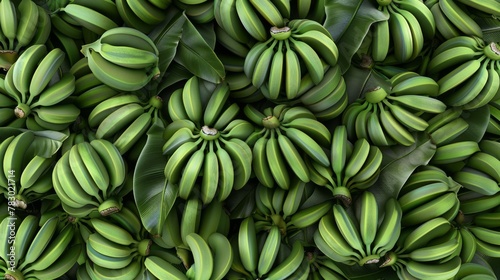 A Cluster of Green Bananas