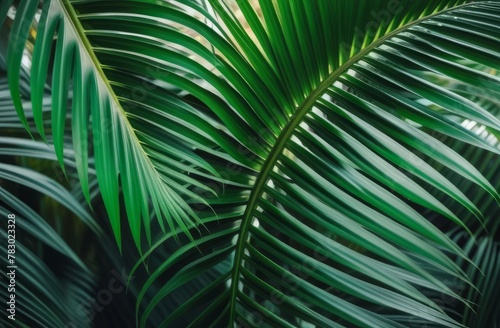Emerald green palm leaves in close-up.