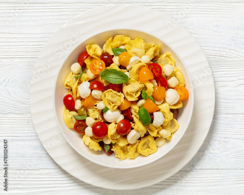 tortellini salad with tomatoes, mozzarella in bowl © myviewpoint