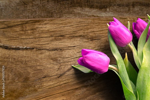 Fototapeta Naklejka Na Ścianę i Meble -  Bouquet of beautiful tulips on wooden background. Tulips on old boards