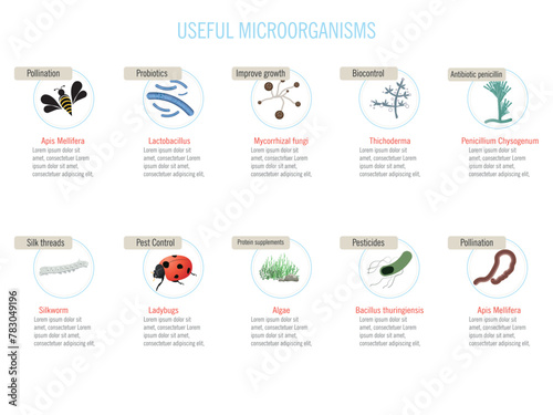 A collection of images of various microorganisms. The images are labeled with the name of the microorganism and its main benefit or use.