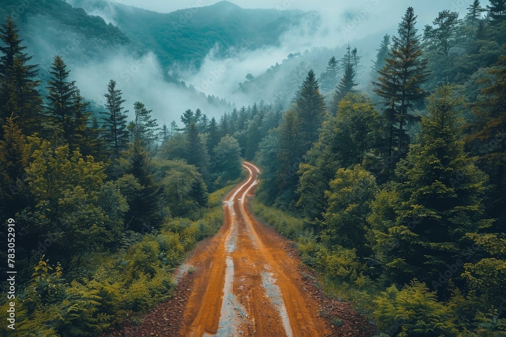 A moody, mist-covered mountain scene with a dirt road winding through dense fog and forest - obrazy, fototapety, plakaty 