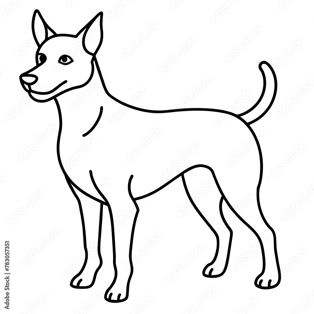 Dog vector illustration.
Dog vector illustration.