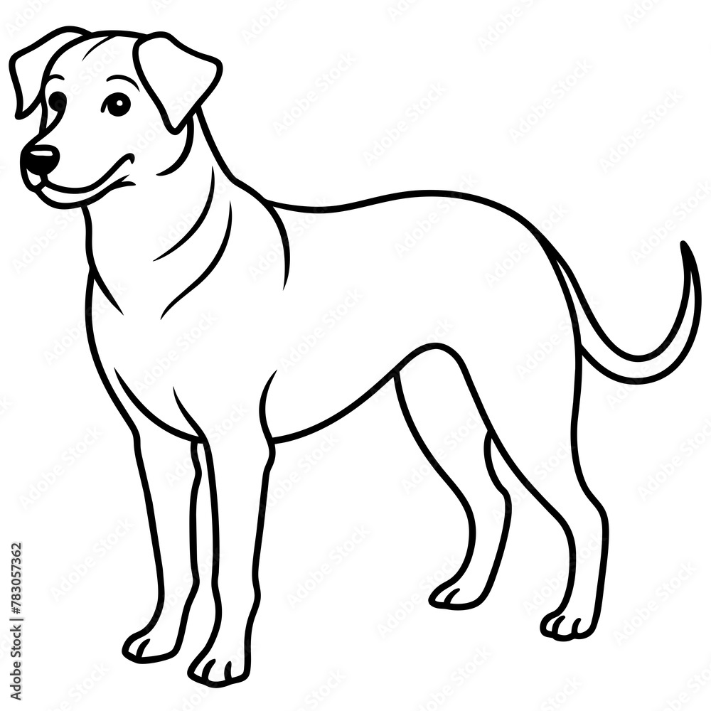 Dog vector illustration.
Dog vector illustration.