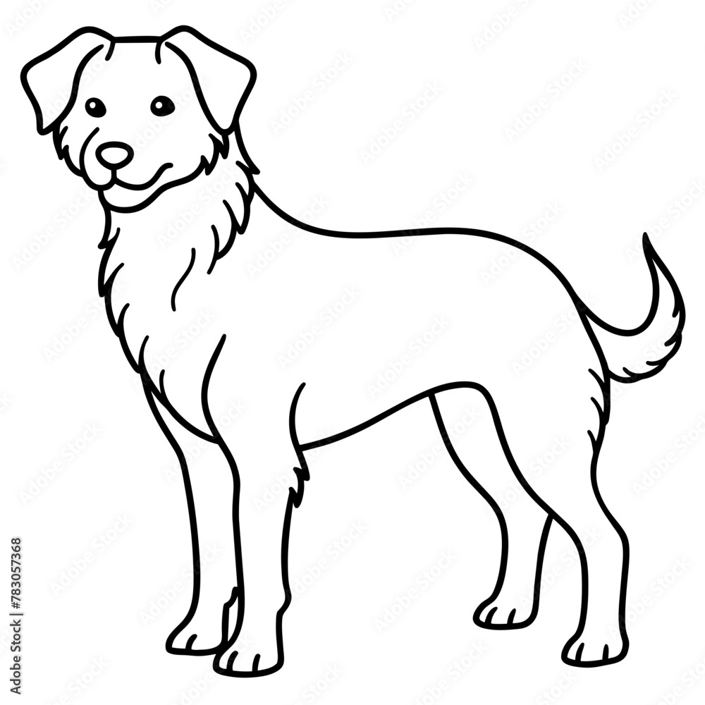 Dog vector illustration.
Dog vector illustration.