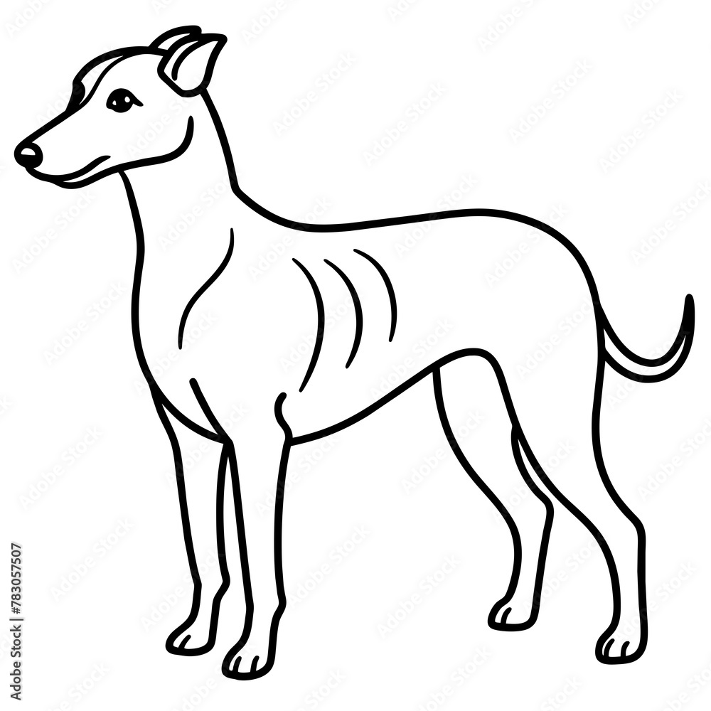 Dog vector illustration.
Dog vector illustration.