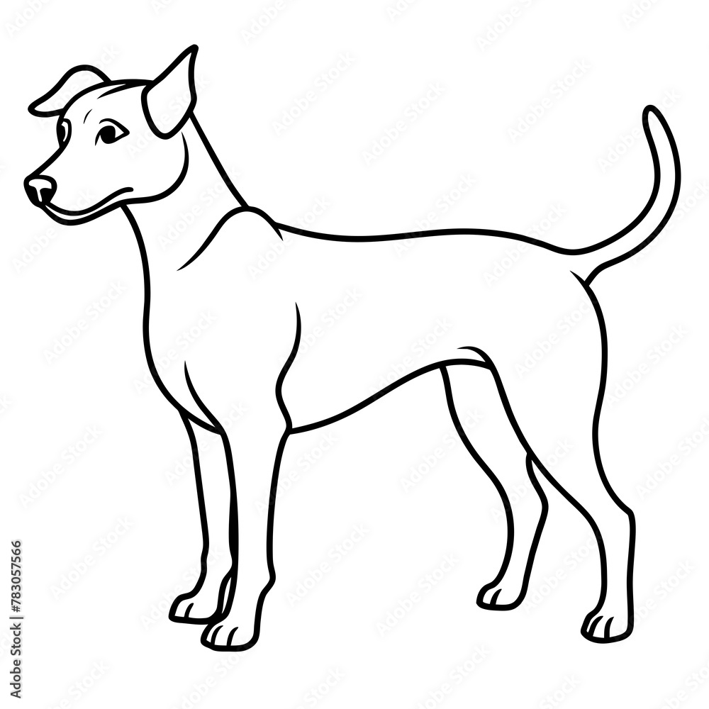 Dog vector illustration.
Dog vector illustration.