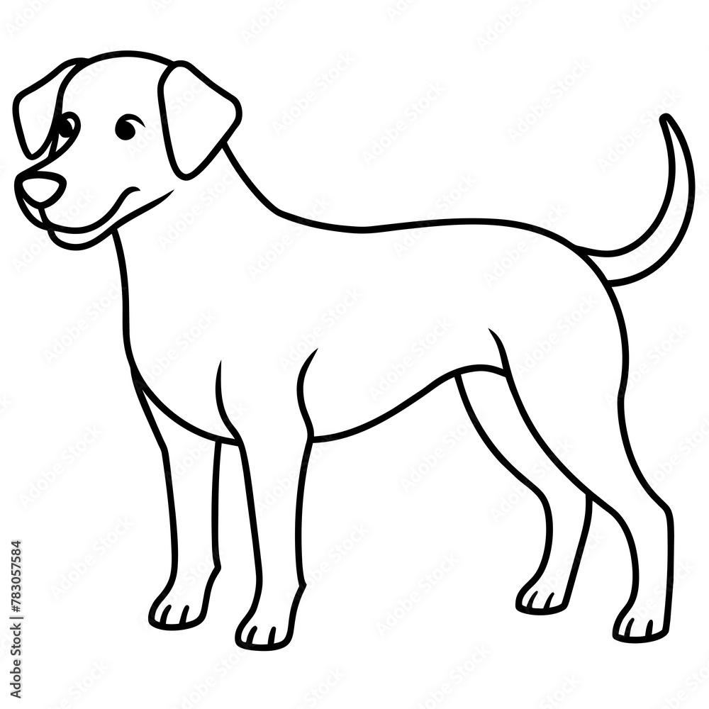 Dog vector illustration.
Dog vector illustration.
