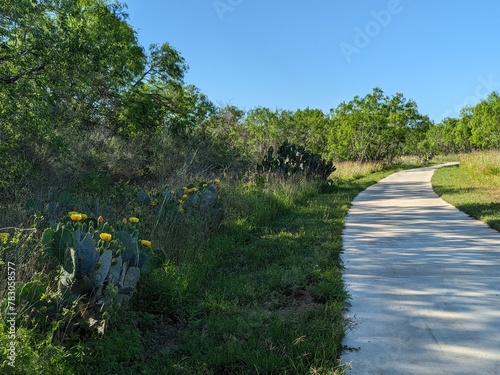 Path in Medina River Trail at San Antonio TX