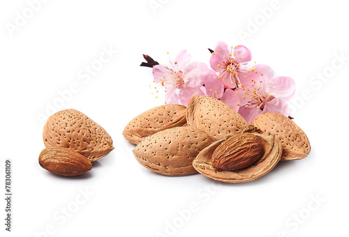 Almond nuts blooms on white backgrounds