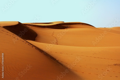 Endless expanse of golden sand dunes ripple under the scorching sun, a solitary beauty in the barren desert landscape.