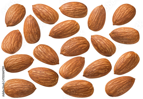 Almond  set isolated on white background. Single nuts, perfectly lit