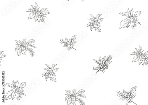 Coffee tree. Branch with leaves and berries. Seamless pattern, background. Outline hand drawing vector illustration. In botanical style