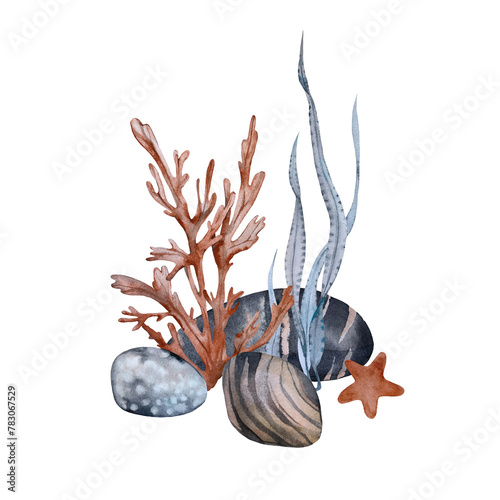 Composition with seaweed pebbles and starfish. Watercolor illustration hand drawn isolated on a white background. Template for cards, invitations and pac photo